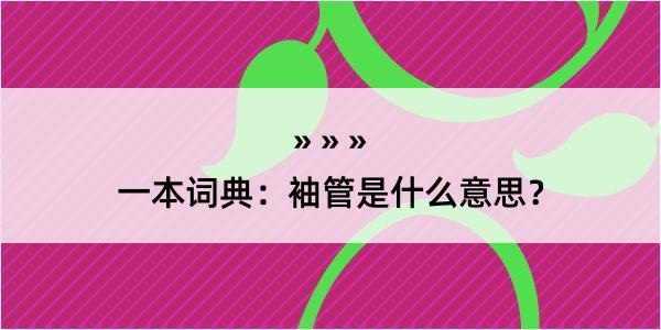 一本词典：袖管是什么意思？