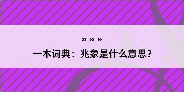 一本词典：兆象是什么意思？