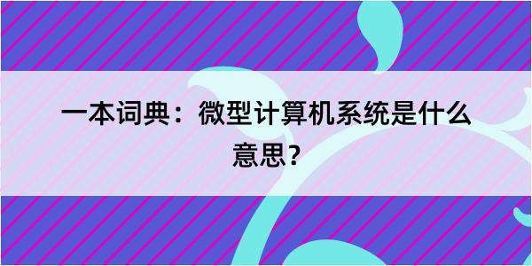 一本词典：微型计算机系统是什么意思？