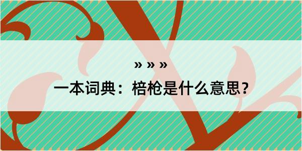 一本词典：棓枪是什么意思？