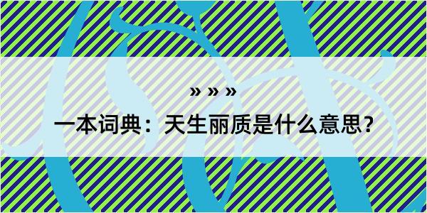 一本词典：天生丽质是什么意思？