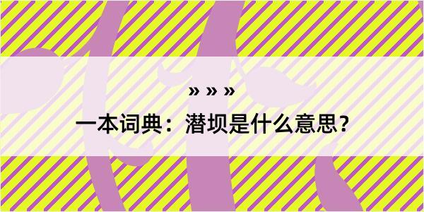 一本词典：潜坝是什么意思？