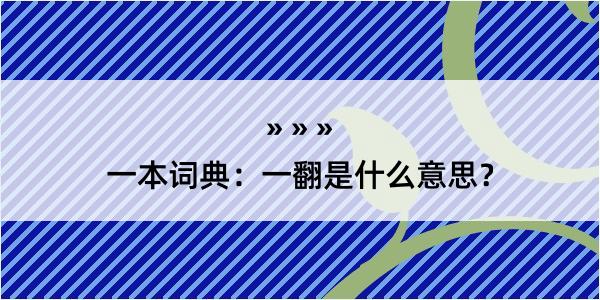 一本词典：一翻是什么意思？