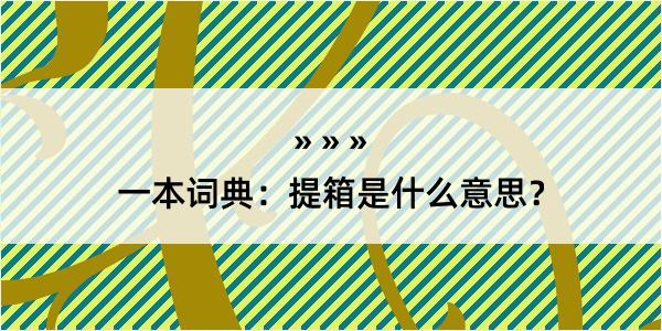 一本词典：提箱是什么意思？