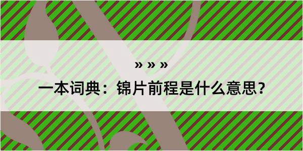 一本词典：锦片前程是什么意思？