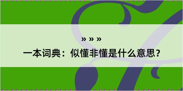 一本词典：似懂非懂是什么意思？