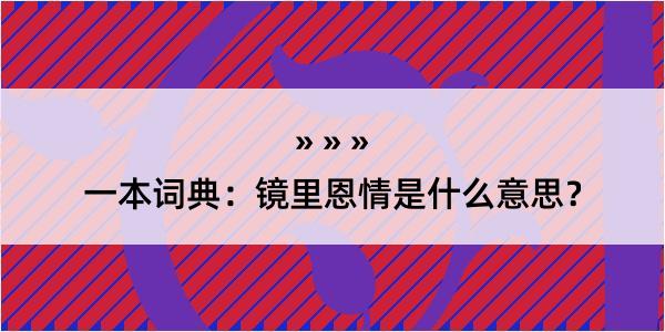 一本词典：镜里恩情是什么意思？