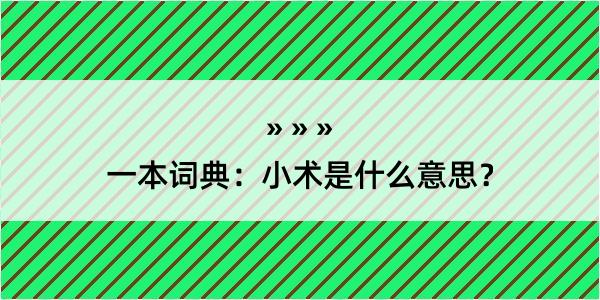 一本词典：小术是什么意思？