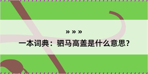 一本词典：驷马高盖是什么意思？