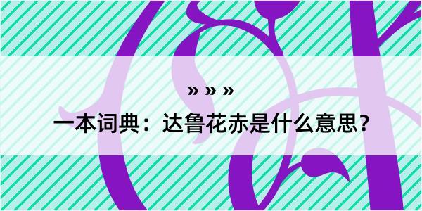 一本词典：达鲁花赤是什么意思？