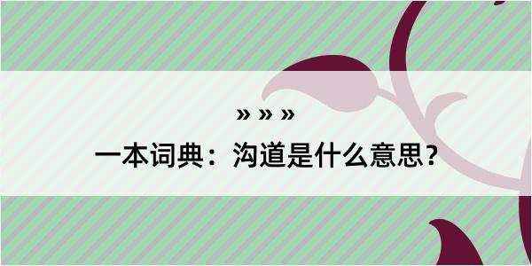 一本词典：沟道是什么意思？