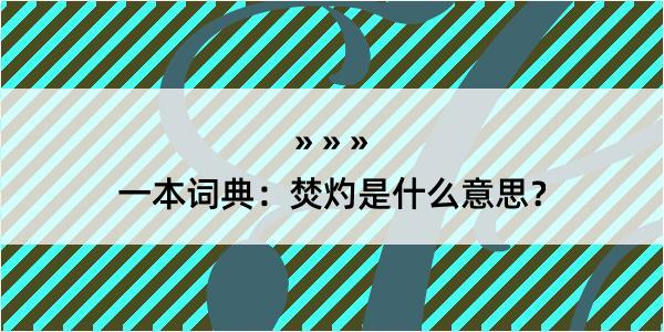 一本词典：焚灼是什么意思？