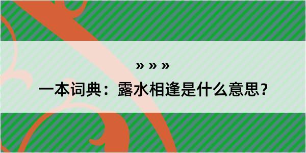 一本词典：露水相逢是什么意思？