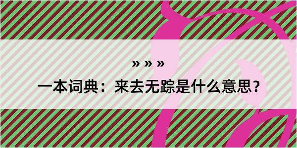 一本词典：来去无踪是什么意思？