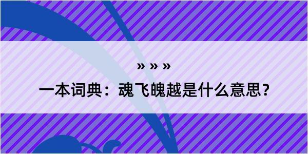 一本词典：魂飞魄越是什么意思？