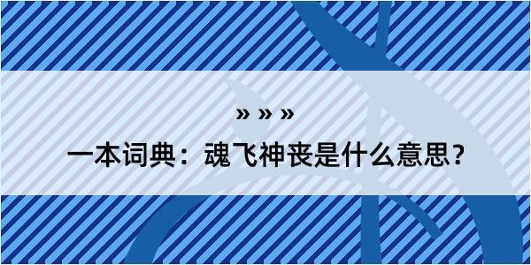 一本词典：魂飞神丧是什么意思？