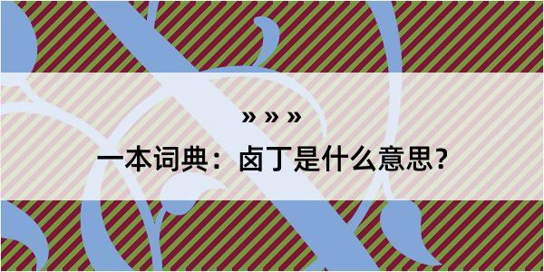 一本词典：卤丁是什么意思？