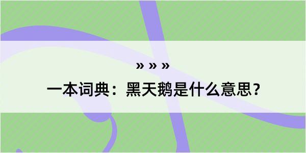 一本词典：黑天鹅是什么意思？