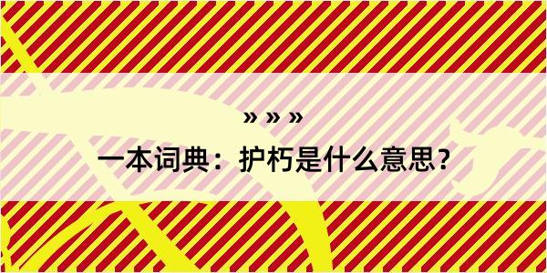 一本词典：护朽是什么意思？