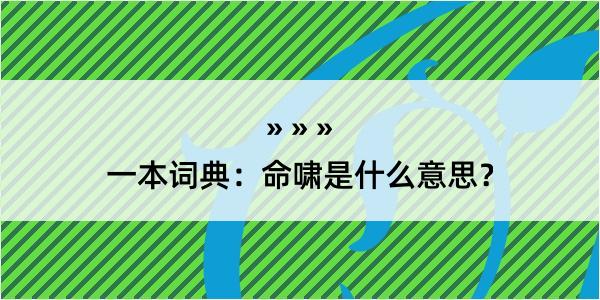 一本词典：命啸是什么意思？