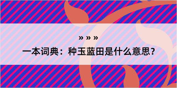 一本词典：种玉蓝田是什么意思？