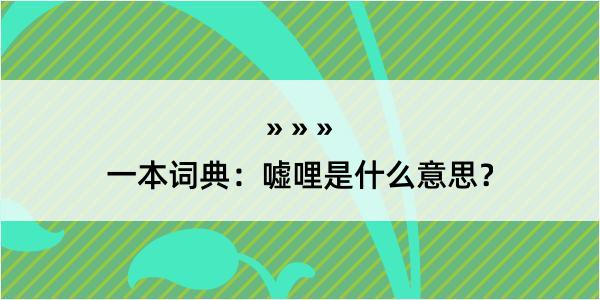 一本词典：嘘哩是什么意思？