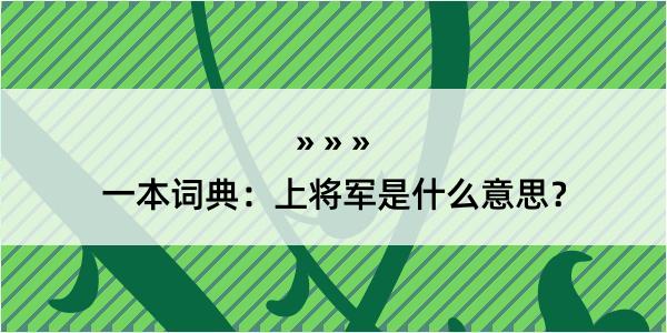 一本词典：上将军是什么意思？