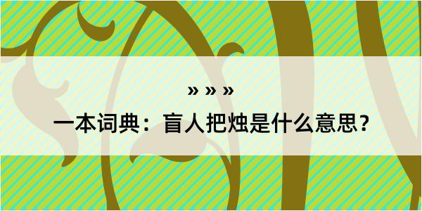 一本词典：盲人把烛是什么意思？