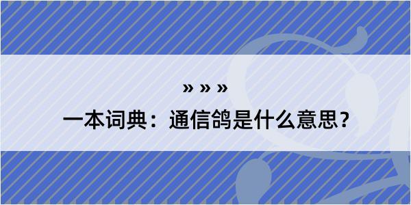 一本词典：通信鸽是什么意思？