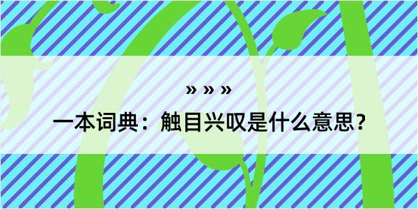 一本词典：触目兴叹是什么意思？