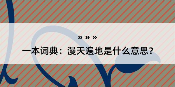 一本词典：漫天遍地是什么意思？