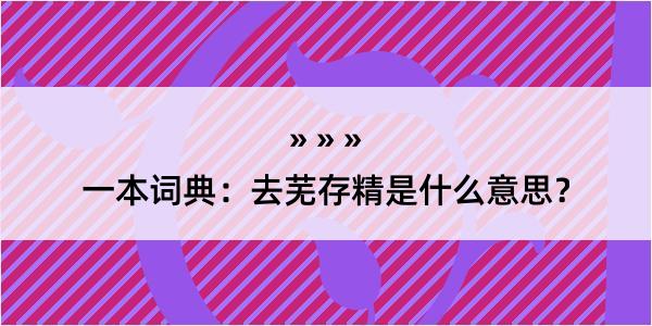 一本词典：去芜存精是什么意思？