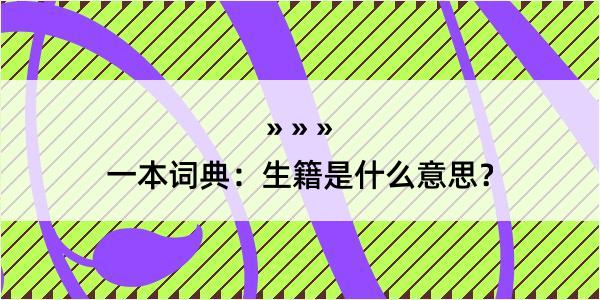 一本词典：生籍是什么意思？