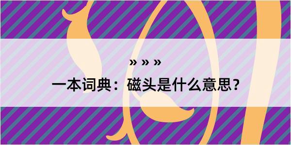 一本词典：磁头是什么意思？