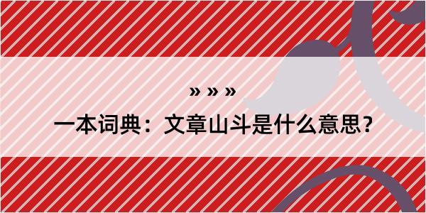 一本词典：文章山斗是什么意思？