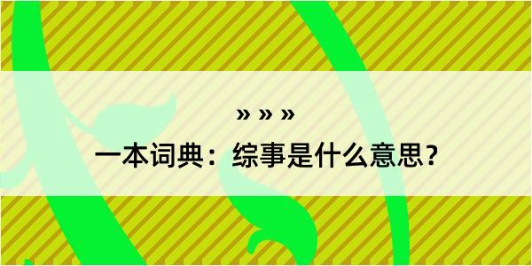 一本词典：综事是什么意思？