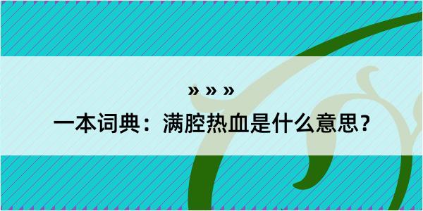 一本词典：满腔热血是什么意思？