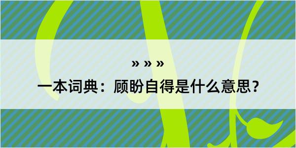 一本词典：顾盼自得是什么意思？