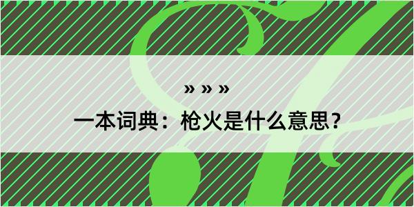 一本词典：枪火是什么意思？