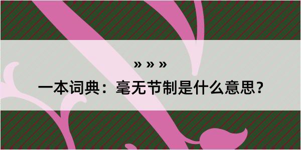 一本词典：毫无节制是什么意思？