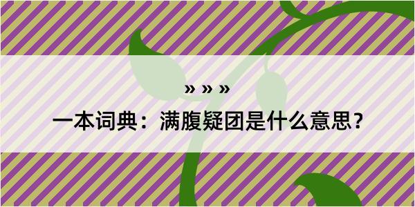 一本词典：满腹疑团是什么意思？