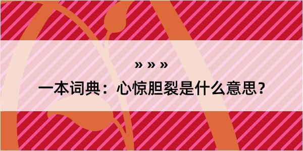 一本词典：心惊胆裂是什么意思？