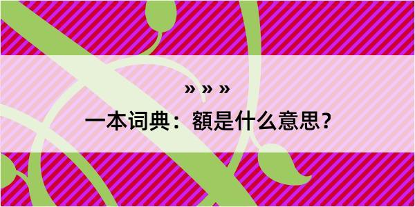 一本词典：額是什么意思？