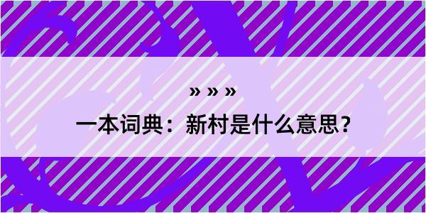 一本词典：新村是什么意思？