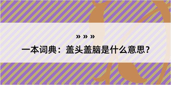 一本词典：盖头盖脑是什么意思？