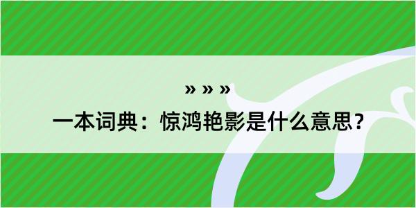 一本词典：惊鸿艳影是什么意思？