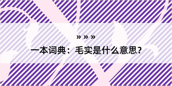 一本词典：毛实是什么意思？