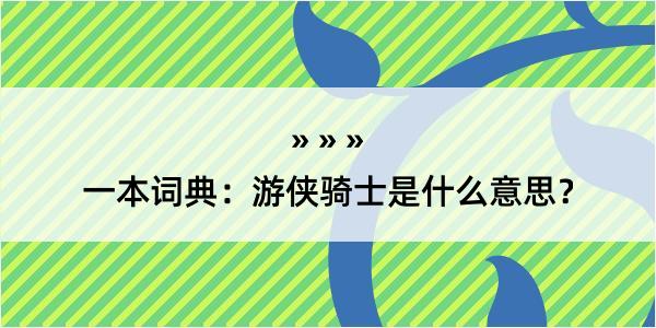 一本词典：游侠骑士是什么意思？