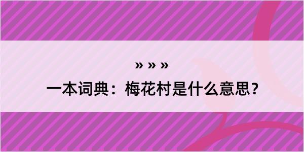 一本词典：梅花村是什么意思？