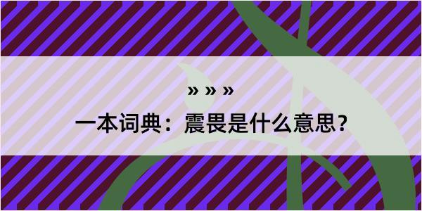 一本词典：震畏是什么意思？